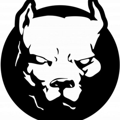 Питбуль на черно белом фоне