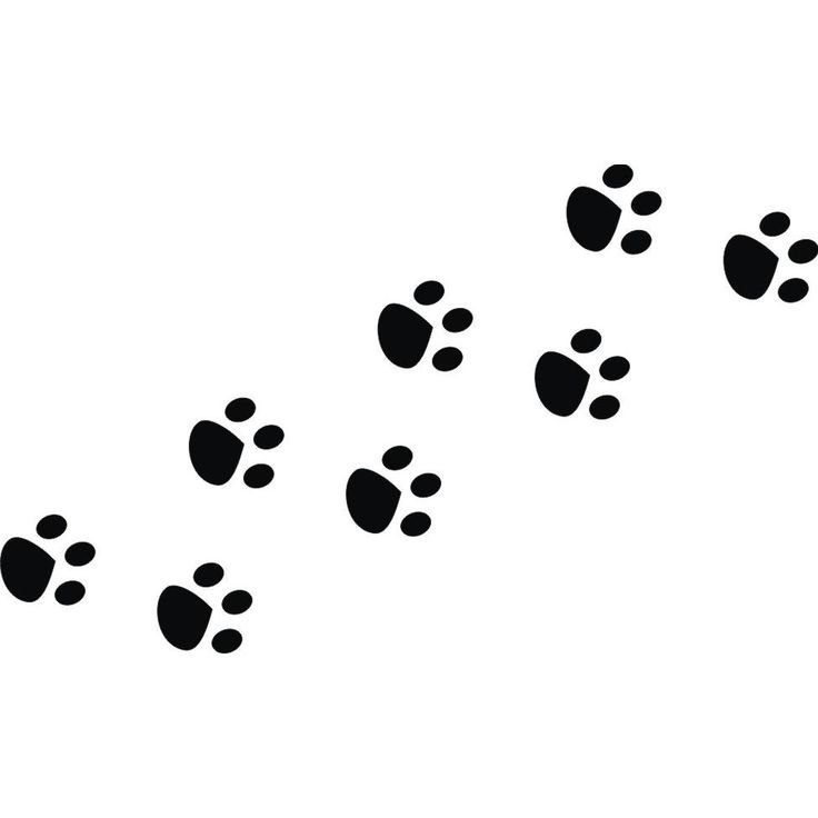 Отпечаток лапки кролика