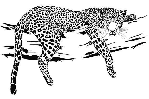 Стоковые фотографии по запросу Leopard coloring page