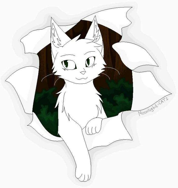 Коты Воители лайны Амино