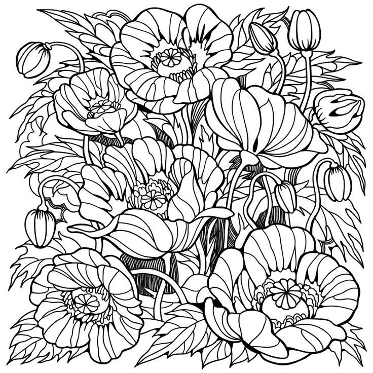 Раскраски для взрослых цветы