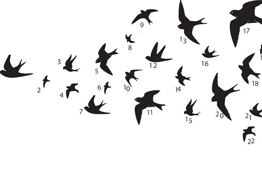 Силуэт птицы в полете