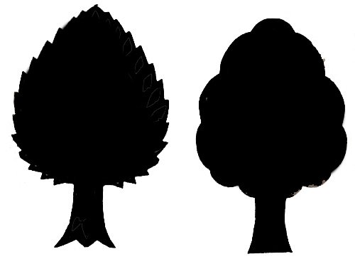 Театр теней дерево