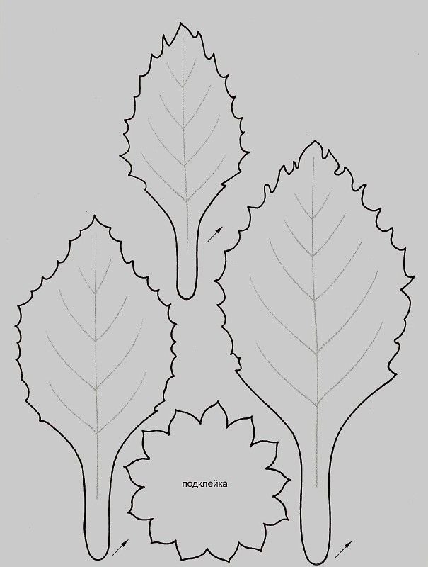 Шаблоны цветов из фоамирана