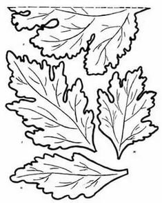 Лист хризантемы шаблон