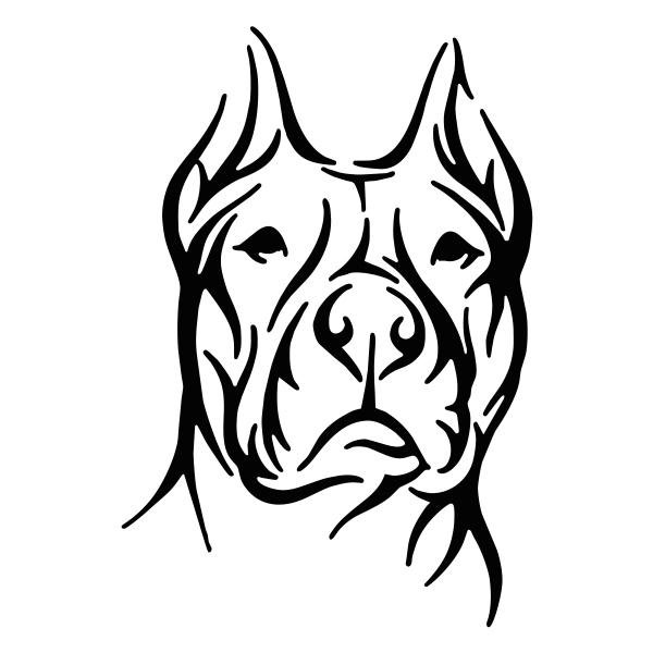 Американский стаффордширский терьер