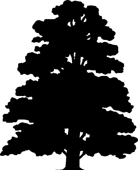 Лес для театра теней