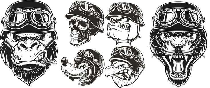 Череп в шлеме