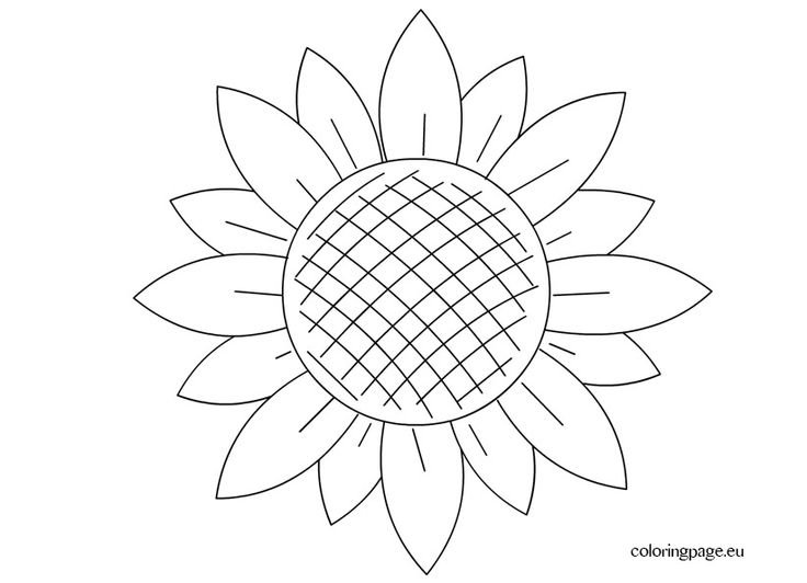 Трафарет подсолнуха для вырезания
