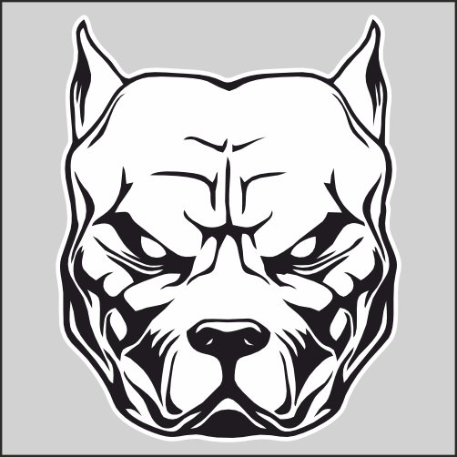 Эскизы питбуля