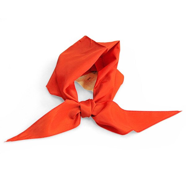 Красный Пионерский галстук