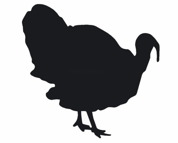 Индейка силуэт