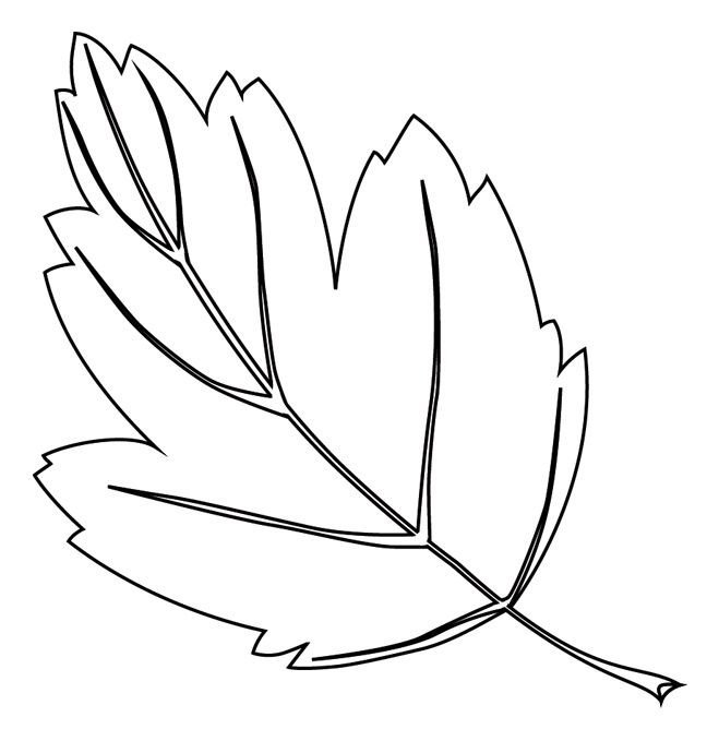 Трафареты "листья"