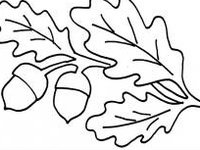 Лист дуба раскраска