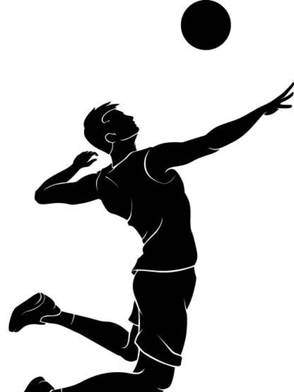 Силуэты спортсменов волейбол