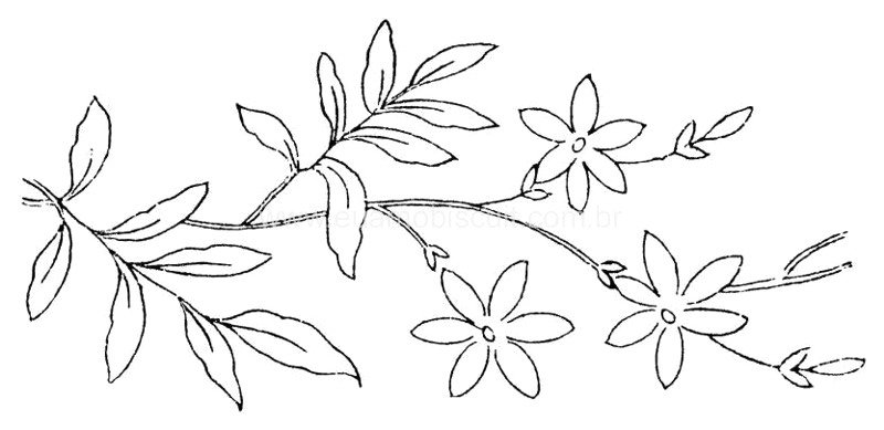 Ветка с цветами трафарет