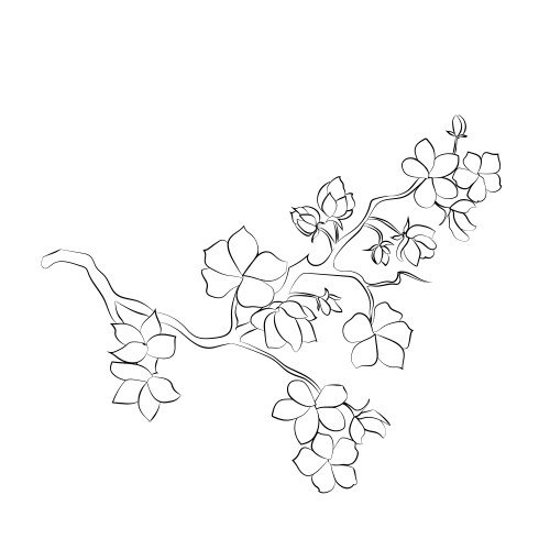 Ветка рисунок