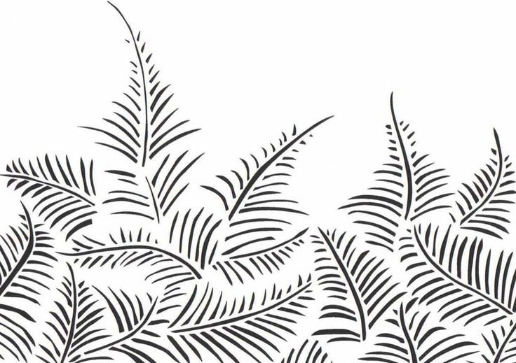 Папоротник раскраска