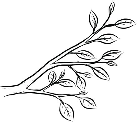 Веточки для рисования