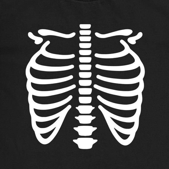 Ребра вектор