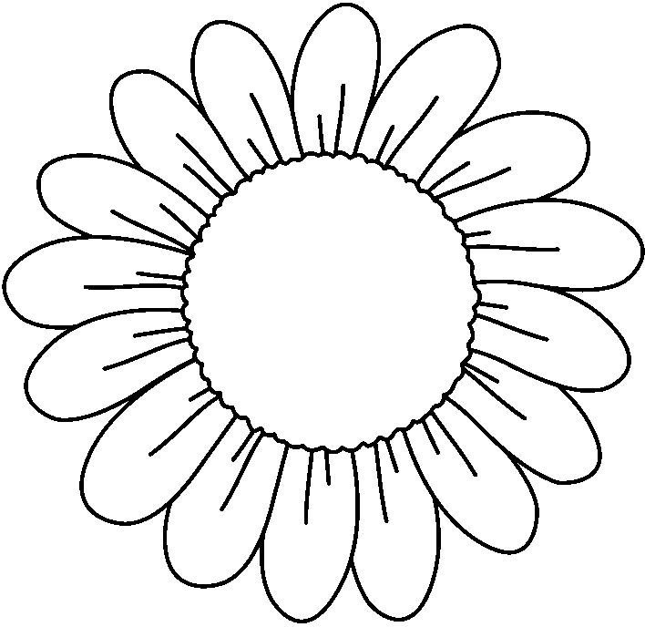 Ромашка раскраска