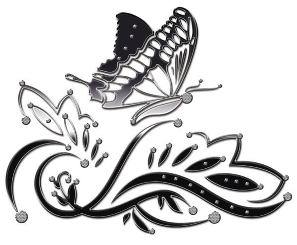 Узоры бабочки