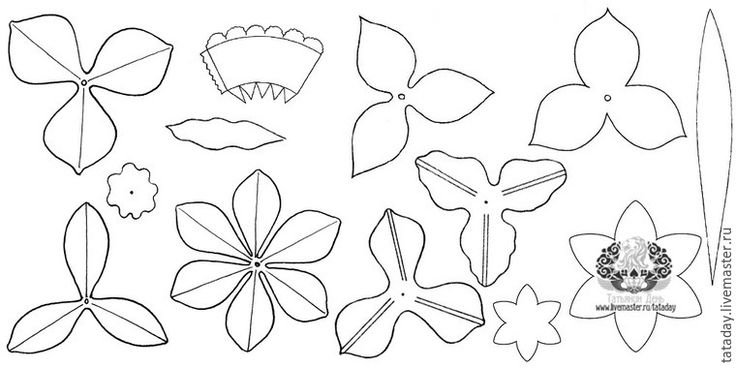 Шаблоны цветов для поделок