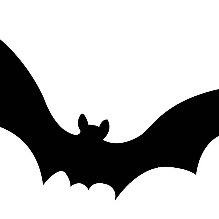 летучая мышь бэтмен