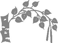 Ветка березы трафарет