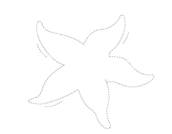 Морская звезда контур