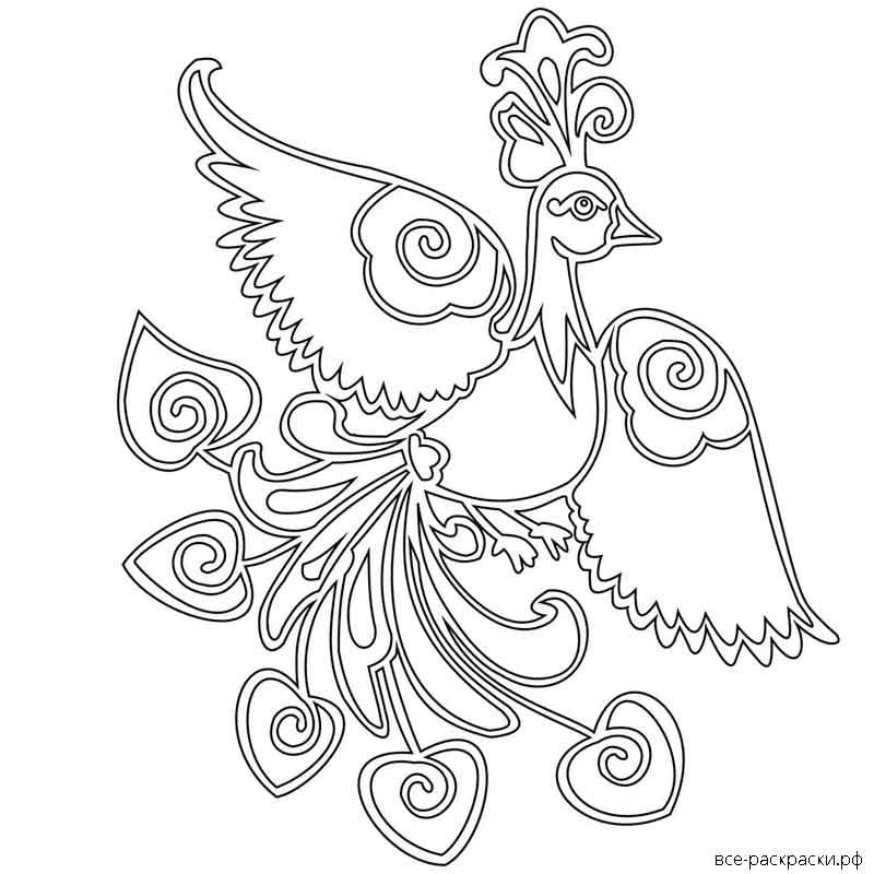 Птичка раскраска