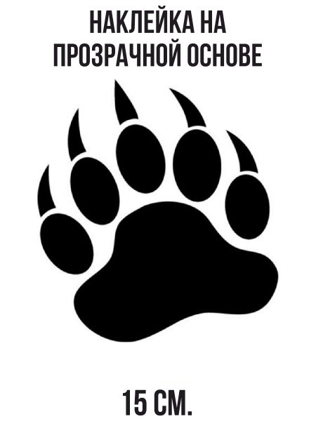 Следы медведя