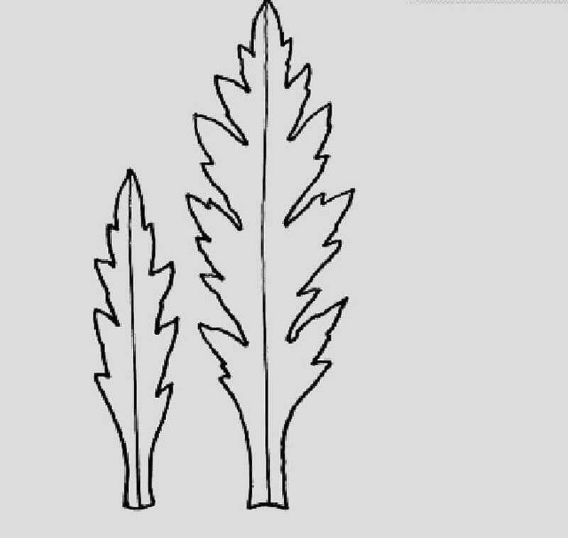 Трафареты листиков для цветов