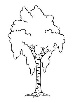 Трафарет береза для детей