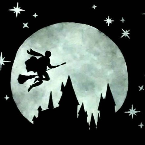 Силуэт Гарри на метле