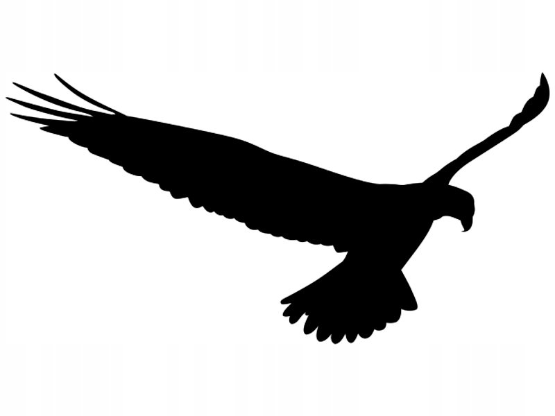 Наклейки хищных птиц