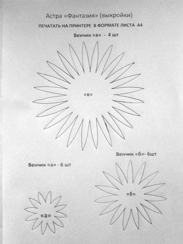 Шаблоны цветов Астра
