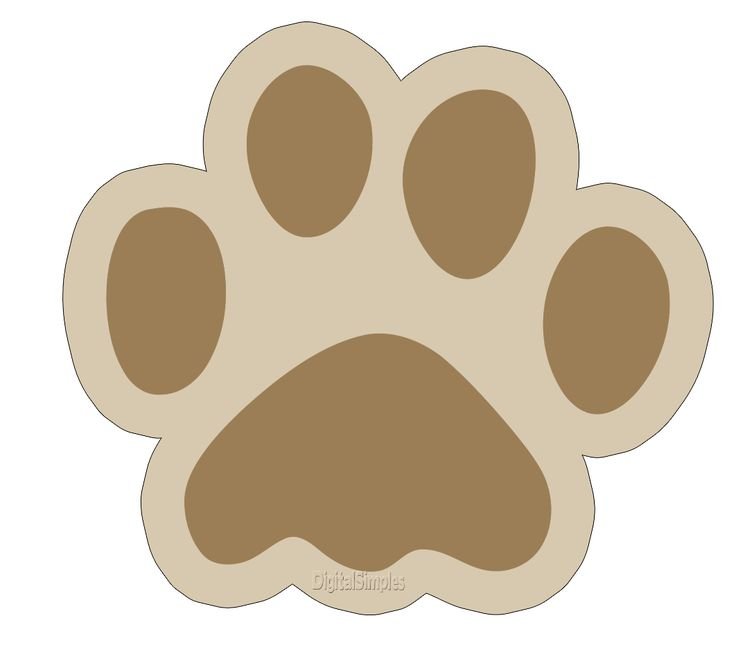 Лапа львенка