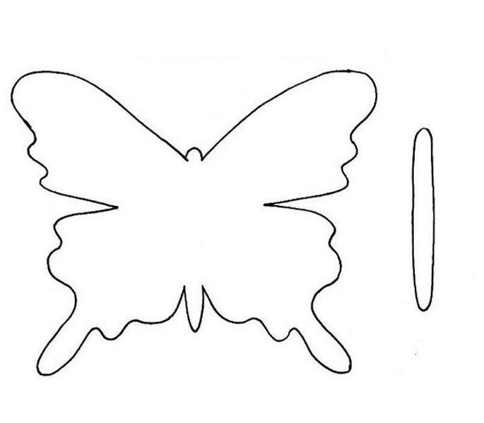 Шаблон бабочки