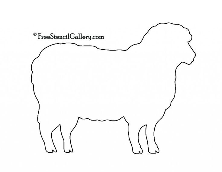 Овечка контур