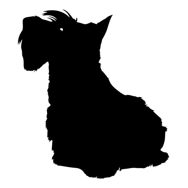 Скотч терьер силуэт