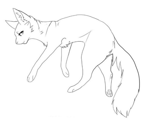 Коты Воители лайны падение