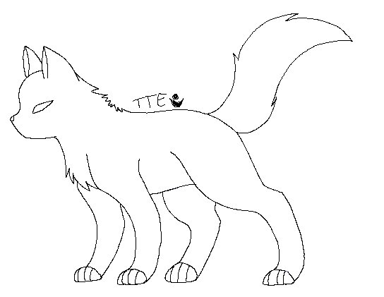 Манекен кота для рисования