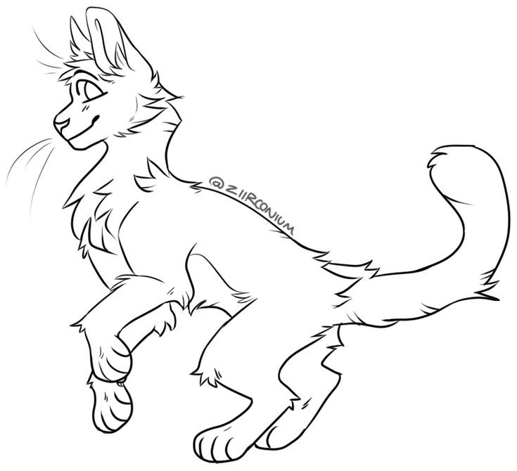 Коты Воители референс лайн