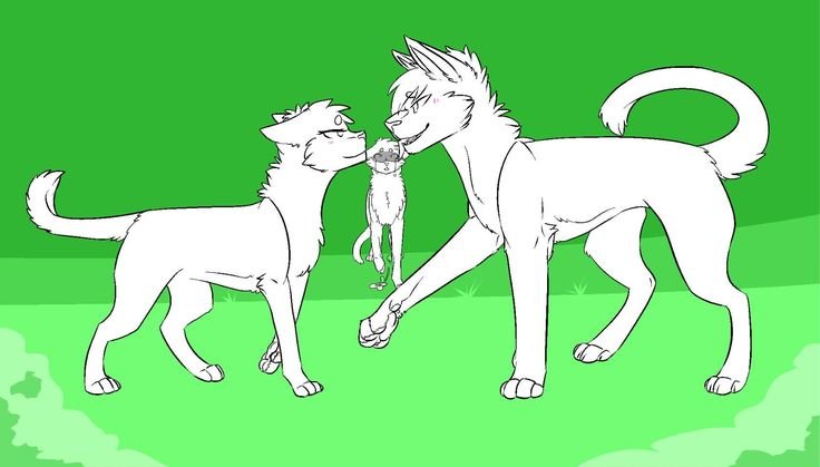 Коты Воители лайны семья