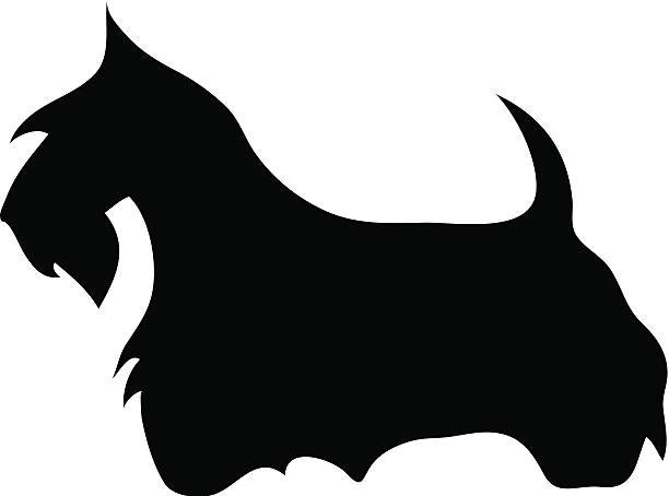 Скотч терьер силуэт