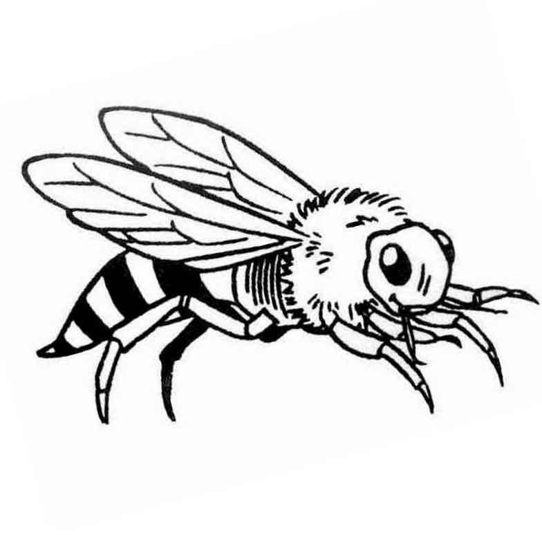 Пчела раскраска