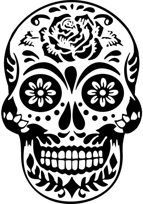 Очертания черепа