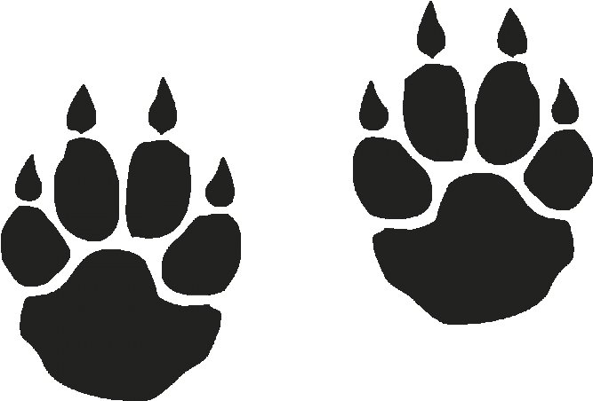 Следы животных