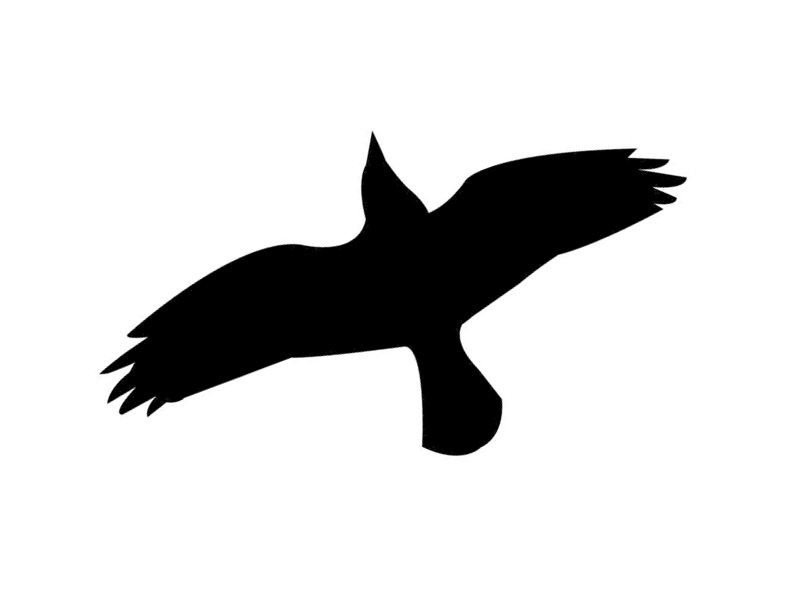 Силуэт хищной птицы для отпугивания птиц